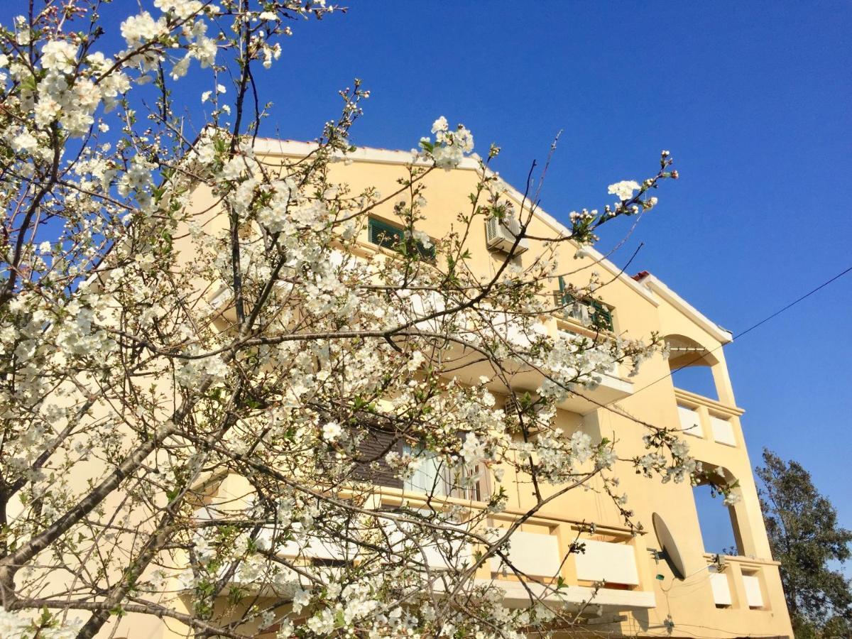 Sobe Bosiljka Hotell Nin Eksteriør bilde